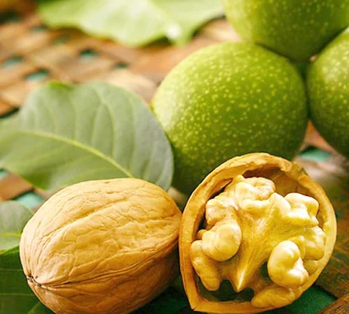 Куплю грецький горіх - фото № 1