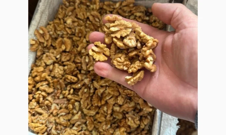 Купляємо ядро грецького горіху - фото № 2