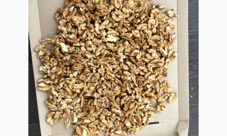 Куплю горіх волоський(грецький) чищений 2024 - фото № 1