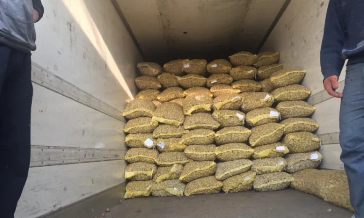 Продаем целый грецкий орех - фото № 2