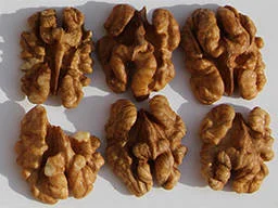 Закуповуємо очищений волоський горіх від 100 кг - фото № 1