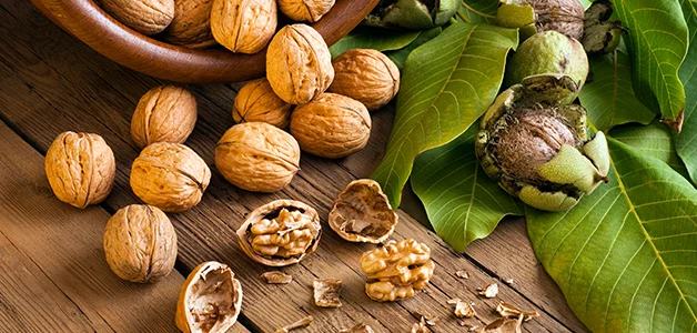 Куплю целый грецкий орех 2023/2024 - фото № 1