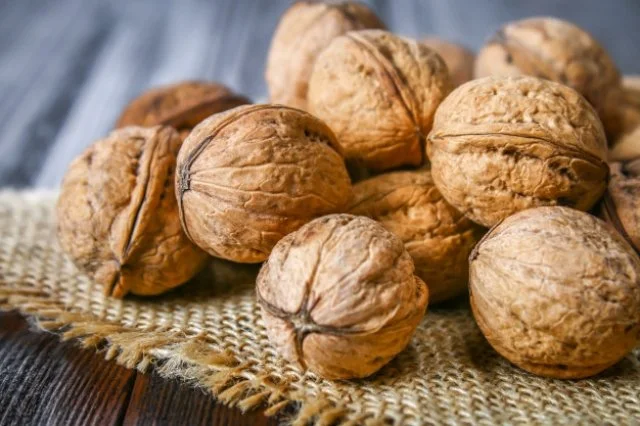Грецький горіх - фото № 1