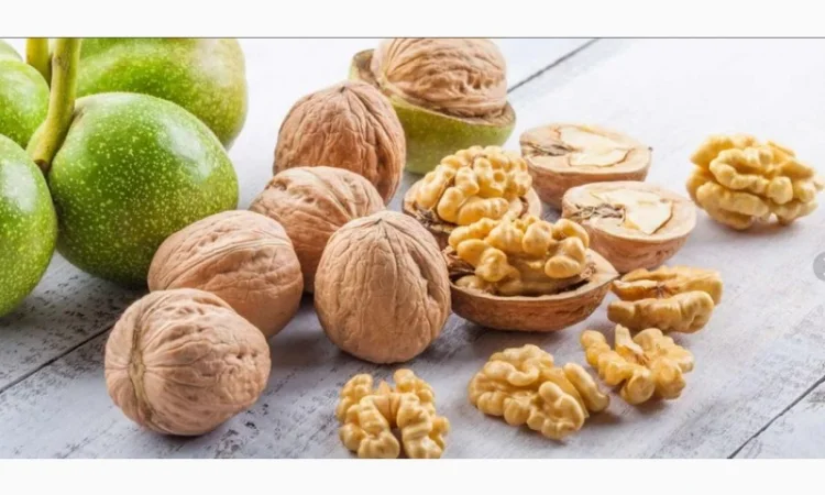 Куплю ядро грецького горіху - фото № 1