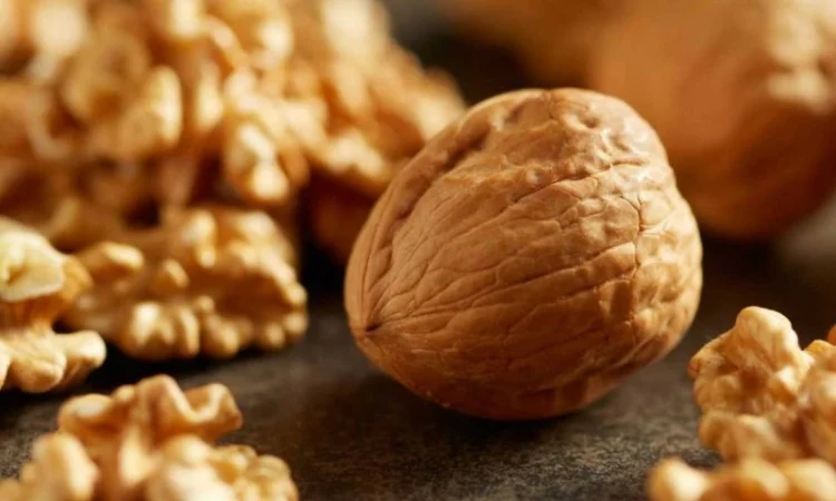 Куплю горіх - фото № 1