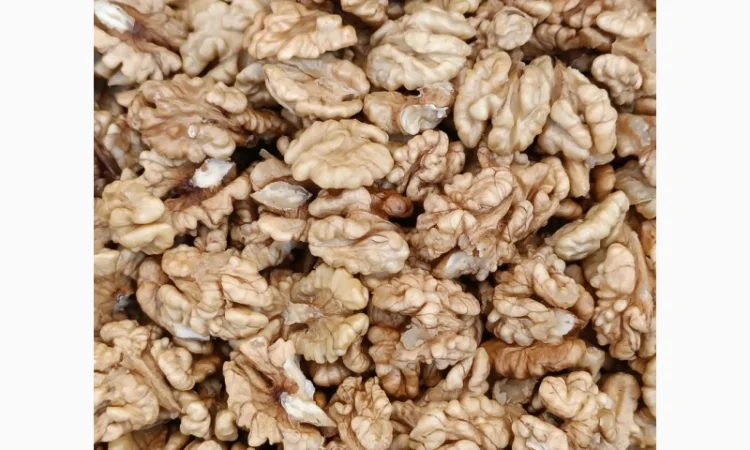 Грецький горіх - фото № 2