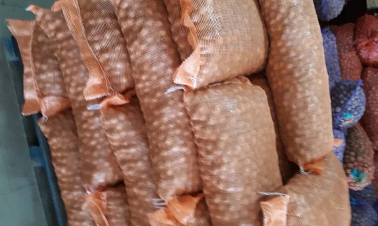 Куплю горіх кругляк гуртом - фото № 1