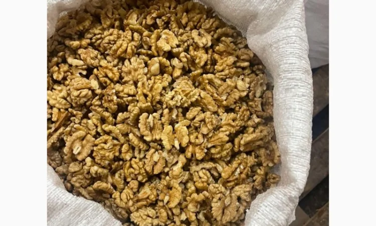 Куплю горіх на гуртом - фото № 1