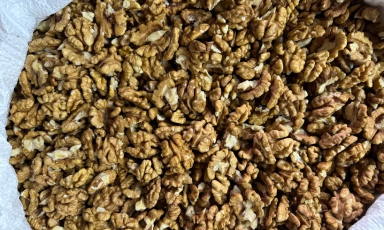 Продам горіх волоський чищений в обʼємі - фото № 1