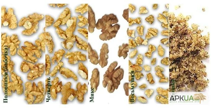 Закупаем светлую бабочку. Только новый урожай. Микс. Четверть. светлую - фото № 1