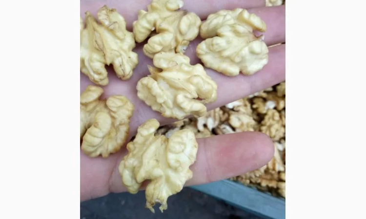 Куплю молочную бабочку и четверть, светлую и янтарную - фото № 1