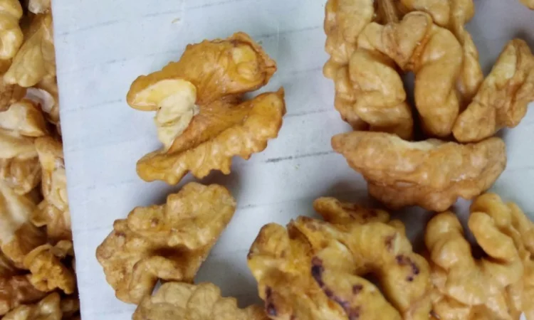 Закупаем ядро грецкого ореха. Микс любого содержания бабочки. Четверть. Бабочку - фото № 1