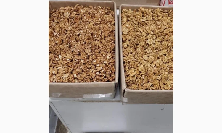 Куплю ядро грецкого ореха.Бабочку, четверть, янтарь - фото № 1