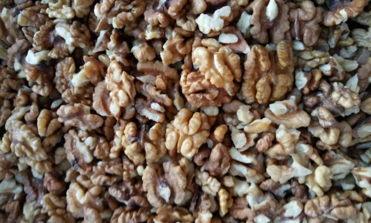 Закупаем светлый янтарь и янтарь - фото № 2