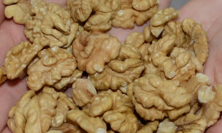 Куплю ядро- бабочку четверть янтарь - фото № 1