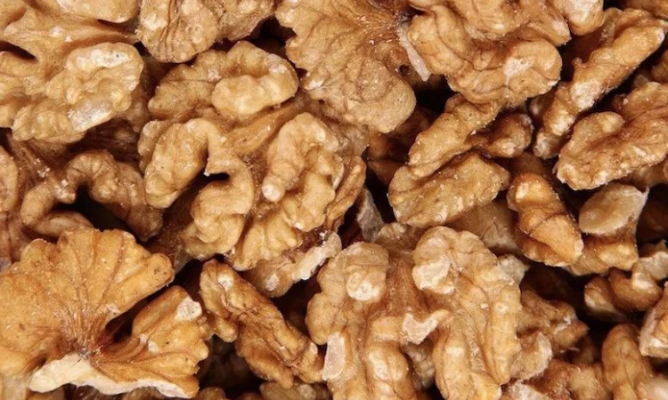 Закуповую ядро грецького горіха усіх фракцій - фото № 1