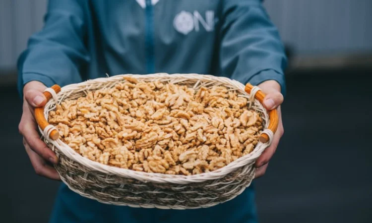 Експортуємо ядро волоського горіха - фото № 1