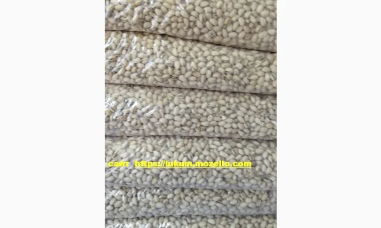 Фісташка Каліфорнійська США смажені солоні оптом в роздріб, Горіхи в асортименті - фото № 3