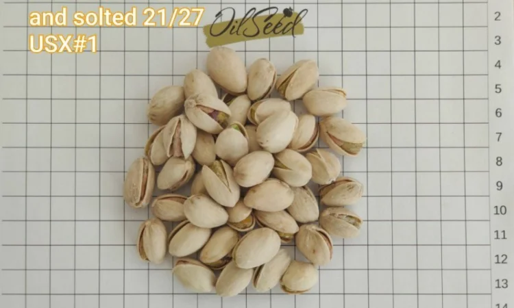 Фисташка жареная соленая - 9, 40 $/kg, USA, US Extra No. 1, 21/27, опт - фото № 1