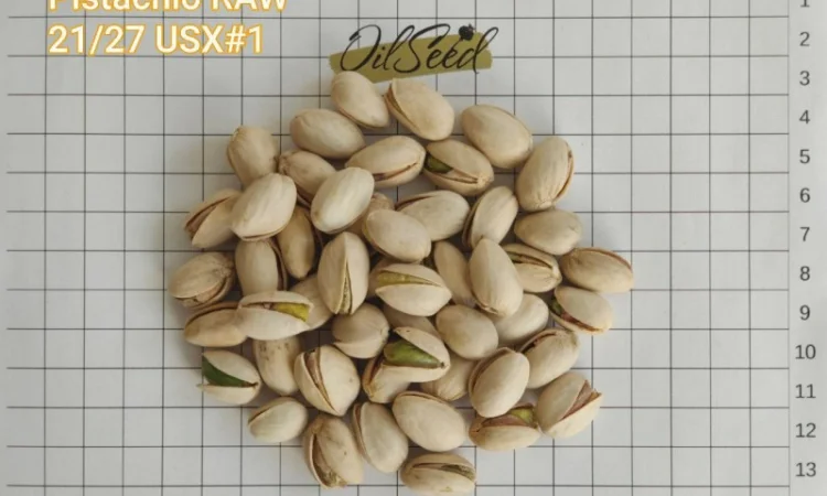 Фисташка жареная соленая - 9, 40 $/kg, USA, US Extra No. 1, 21/27, опт - фото № 2