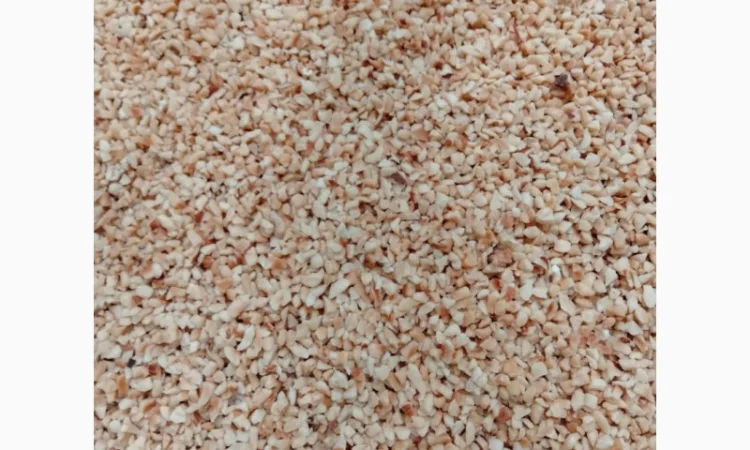 Фундук жареный дробленный (2/4, 4/6, 3, 5мм ) - фото № 1