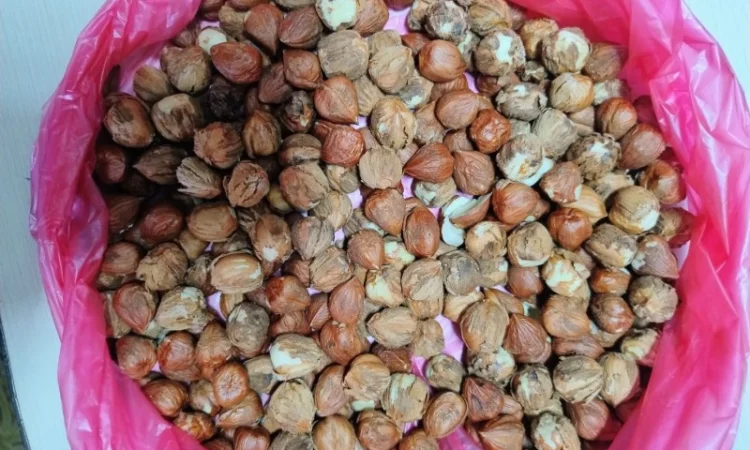 Продам фундук очищенный - фото № 1