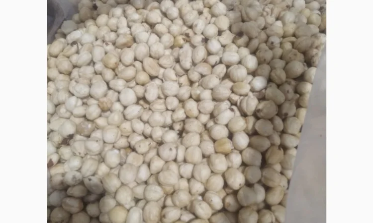 Фундук бланшированный жареный Грузия 13-15 - фото № 1