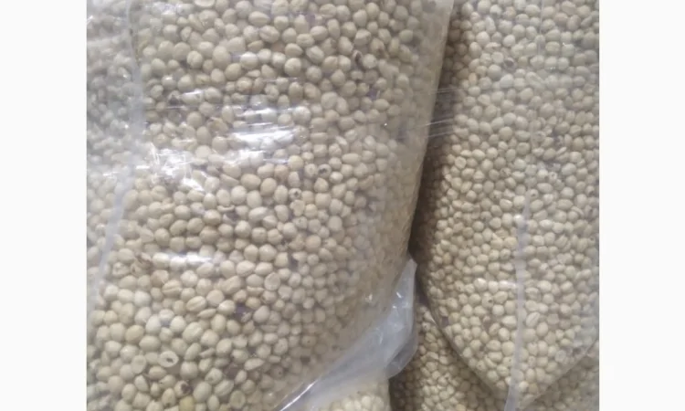 Фундук бланшированный жареный Грузия 13-15 - фото № 2