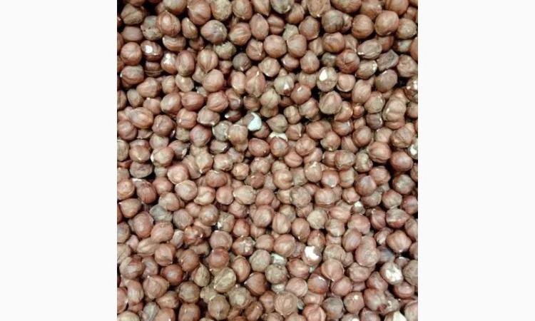 Фундук сырой Грузия 13-15 - фото № 1