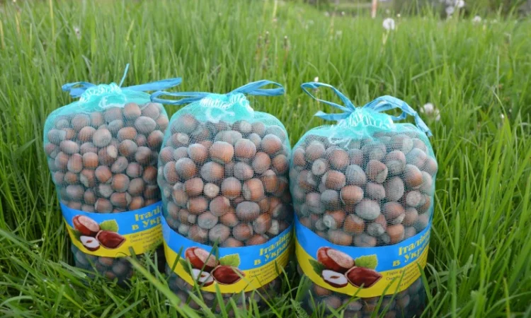 Продам горішки італійского сорту Тонда ди Джиффоні, торбинка 2кг - фото № 1