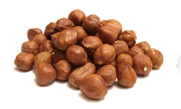 Продаж фундуку чищеного - фото № 1