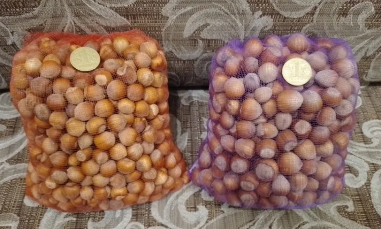 Фундук у шкаралупі (врожай 2024 року) - фото № 3