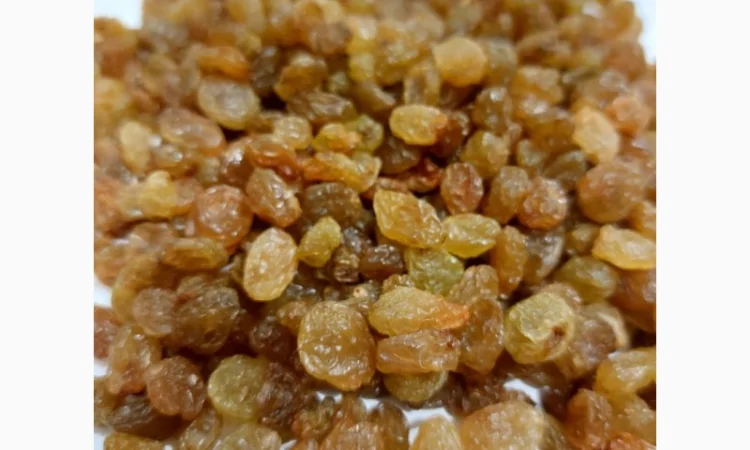 Изюм иранский - фото № 1