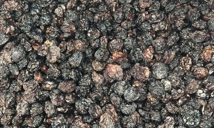 Изюм Чили джамбо - фото № 1