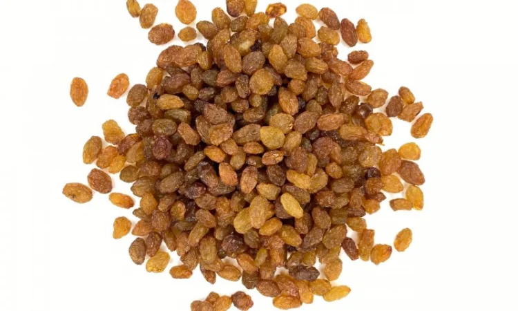 Изюм абджуш малаяр - фото № 2