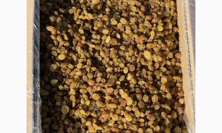 Изюм оптом - фото № 1