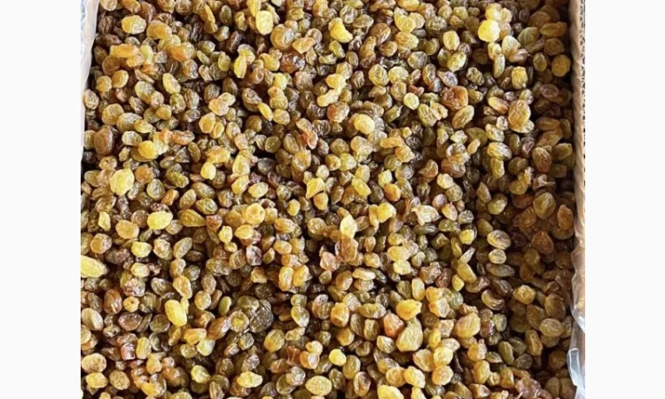 Изюм оптом - фото № 2