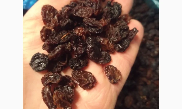 Продам изюм Узбекистан - фото № 1