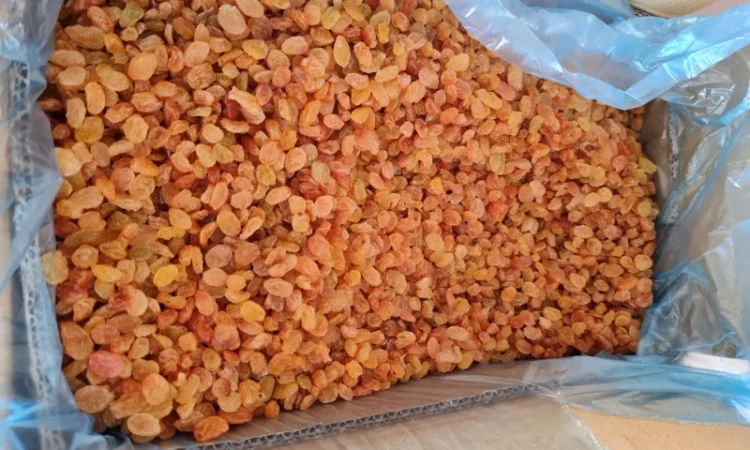 Продам изюм золотой Иран - фото № 1