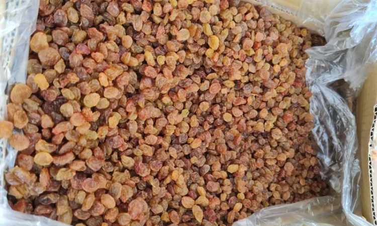 Продам изюм Малаяр Иран - фото № 1