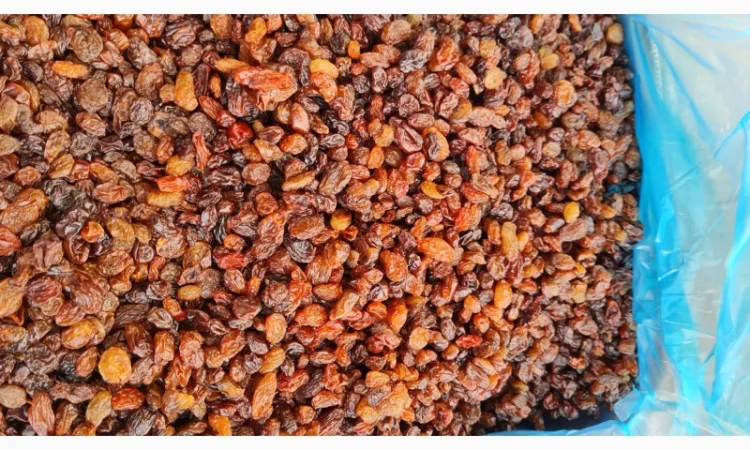 Продам изюм Узбекистан - фото № 1