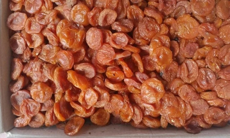 Курага в ассортименте - фото № 2