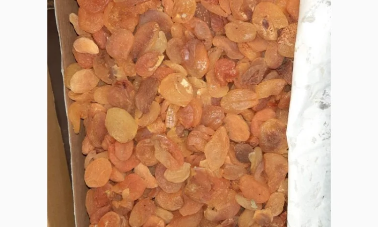 Курага Турция - фото № 2