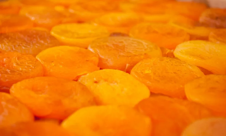 Курага оптом та в роздріб - широкий вибір цін - фото № 5