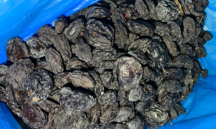 Продам сливу сушену з кісткою - фото № 5