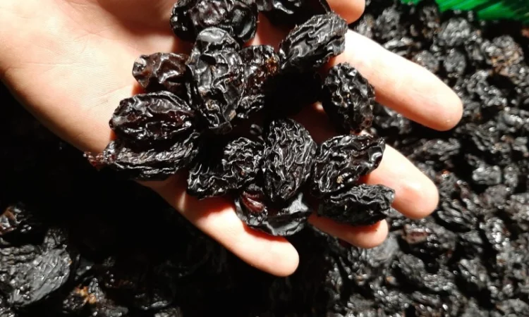 Продам чорнослив без кістки - фото № 2