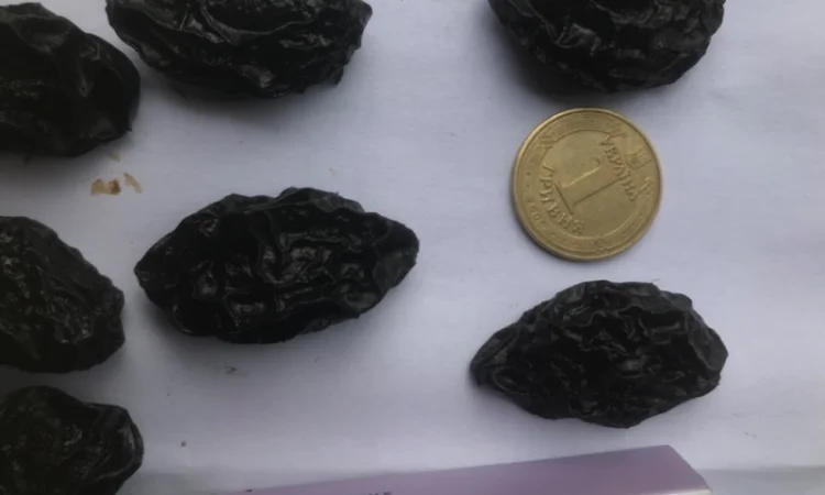 Чернослив вяленный с косточкой - фото № 1