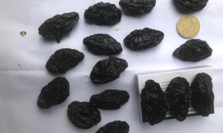 Чернослив вяленный с косточкой - фото № 2