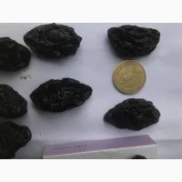 Продам чернослив - фото № 3