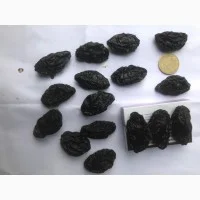 Продам чернослив - фото № 4